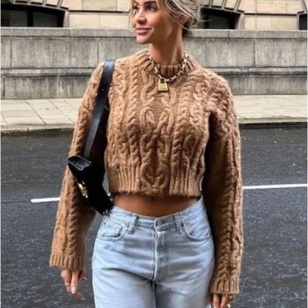 Zara Warm Brown Knit Sweater